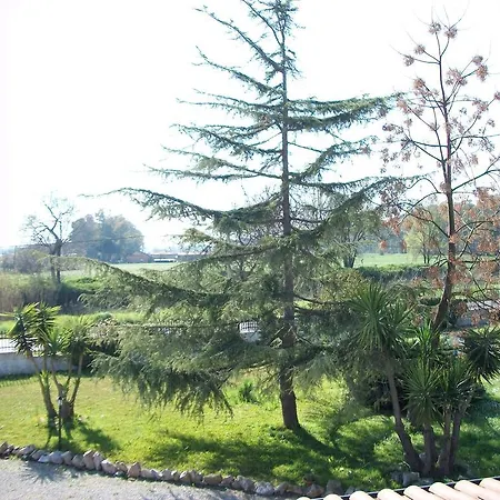 Agriturismo Primerio Farm stay *